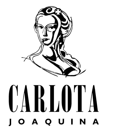 logo VT