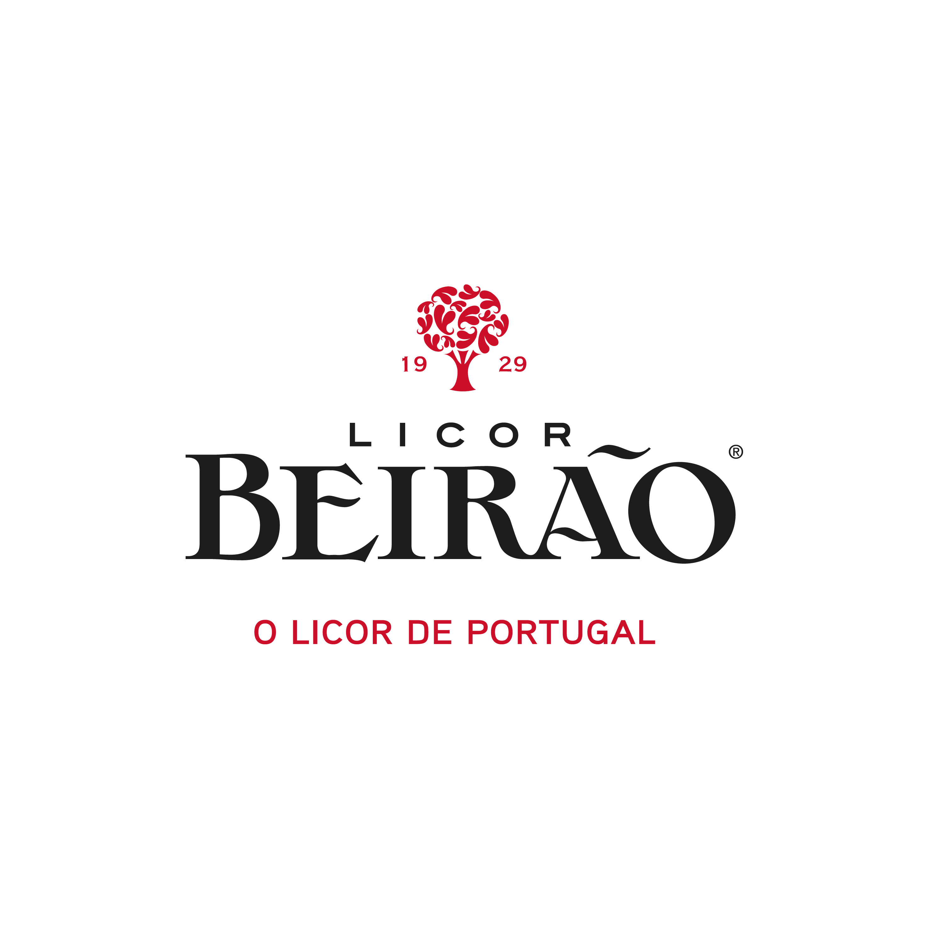 logo VT